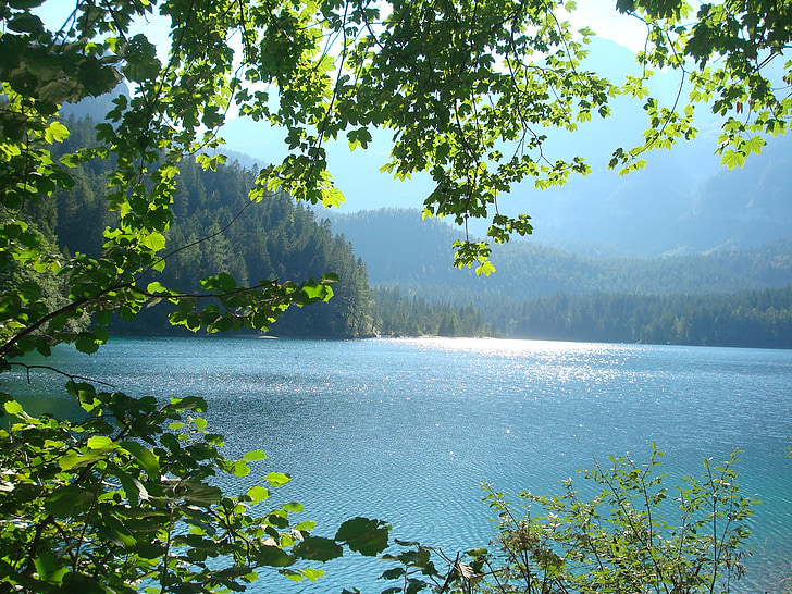 Calmează