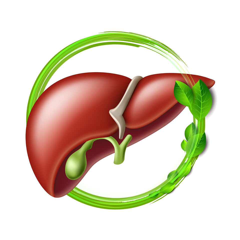 Hepatoprotector