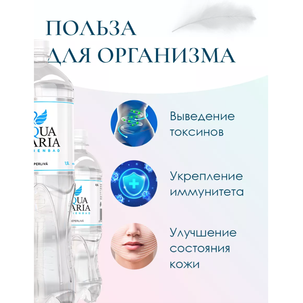 AQUA MARIA Necarbogazoasă (1 l)
