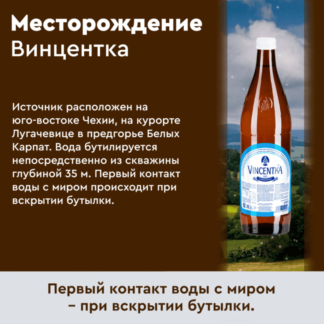VINCENTKA Carbogazată (700 ml)